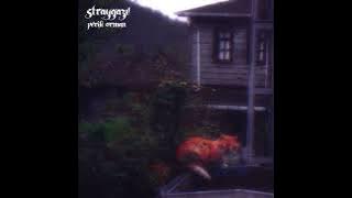 time to exist - straygaze