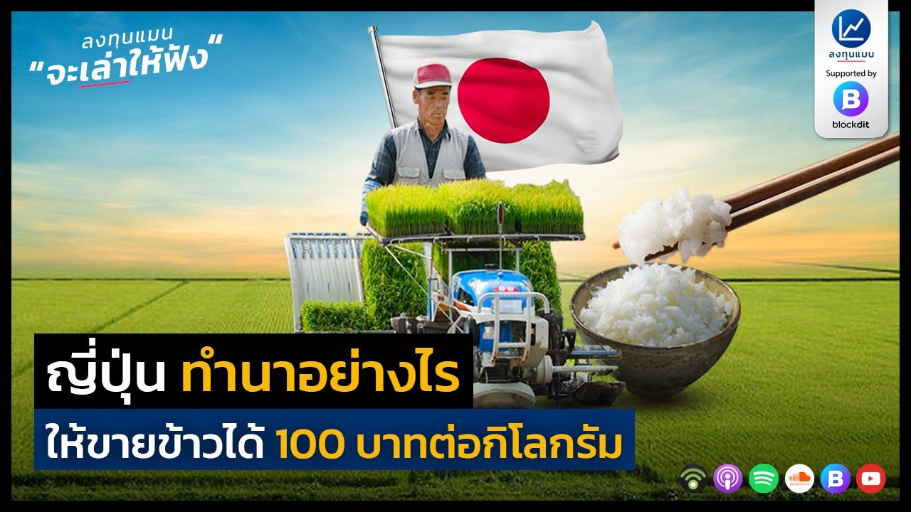 ญี่ปุ่น ทำนาอย่างไร ให้ขายข้าวได้ 100 บาทต่อกิโลกรัม