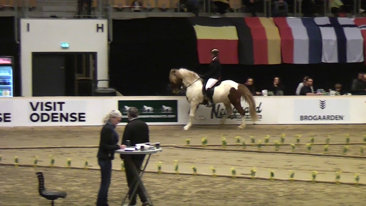 Vörður frá Sturlureykjum, OD20V1 - YouTube