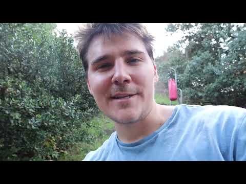 Making my land magic!