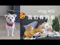 Vlog02 | 我们有狗啦！~|和狗子的日常