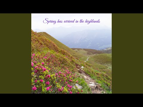 بهار به ارتفاعات رسیده است