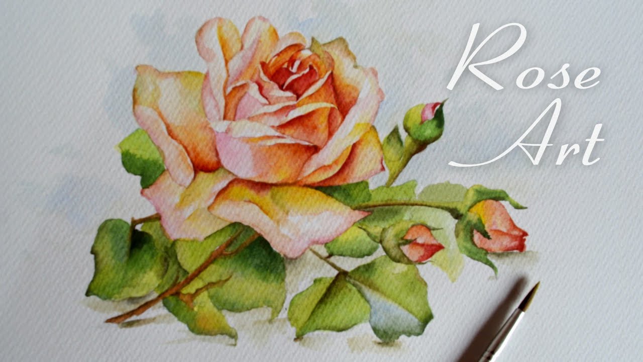 Soft Rose Watercolor Painting | Watercolor Tutorial For Beginners