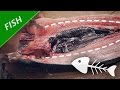 How to Debone A Fish (Milkfish / Bangus)  - Step by Step