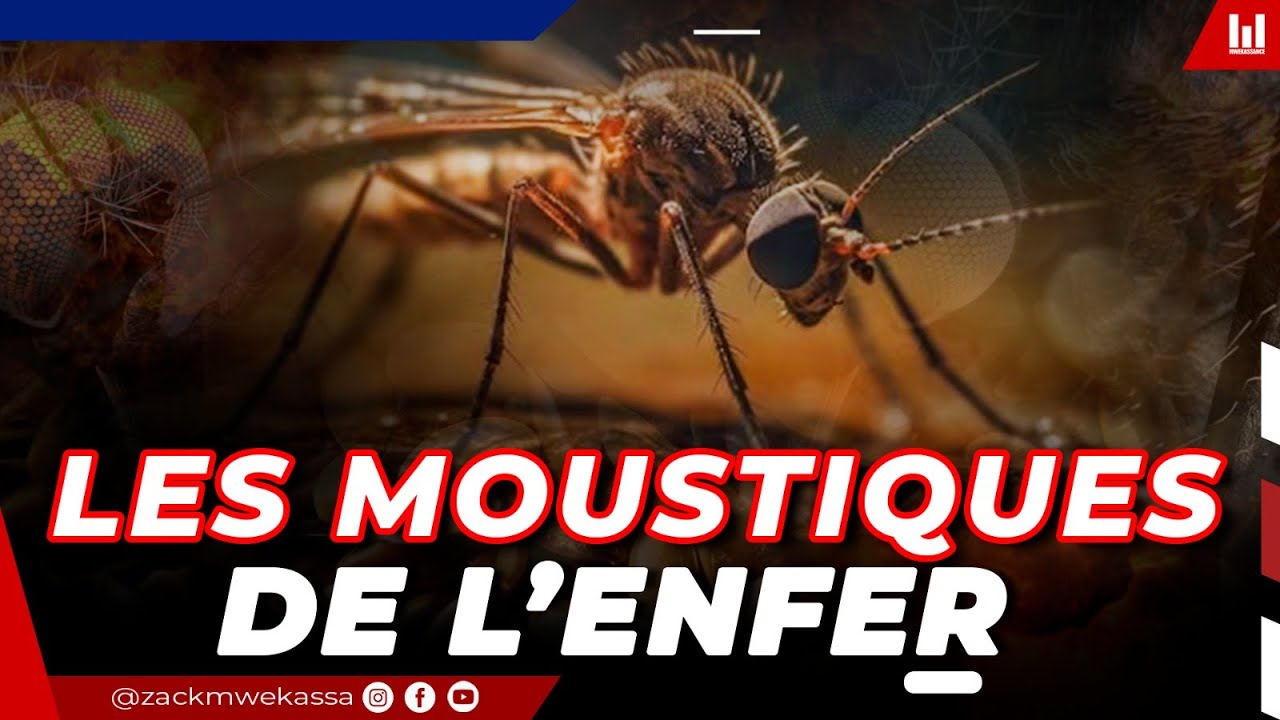 LES MOUSTIQUES DE BILL G#TES ARRIVENT | Geopolitique E.p #772