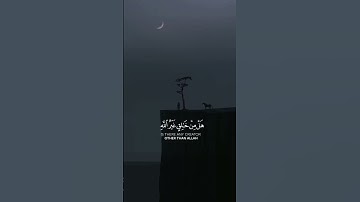 اكتب شيء تؤجر عليه 🤍 #القران_الكريم #quran #ياسر_الدوسري #القارئ_ياسر_الدوسري #fypシ #fyp #سورة