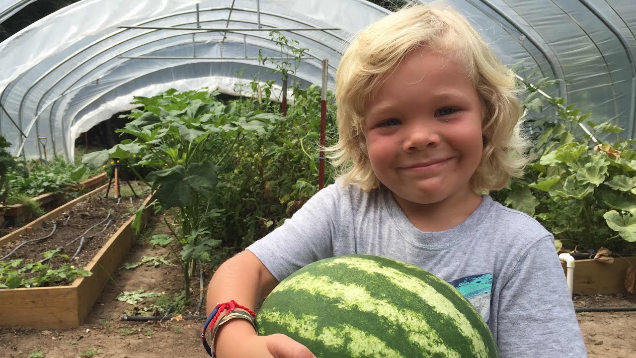 greenhouse gases He's The Happiest Little Gardener Around!