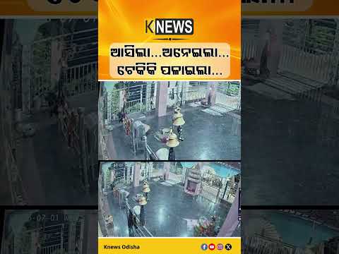 ଅନୁଗୋଳ ଜରପଡ଼ା ଥାନା ଅନ୍ତର୍ଗତ ତୁକୁଡ଼ା ଗାଁର ଅଧିଷ୍ଠାତ୍ରୀ ମା’ ଦକ୍ଷିଣ କାଳୀ ମନ୍ଦିରରେ ଚୋରି #knewsodisha