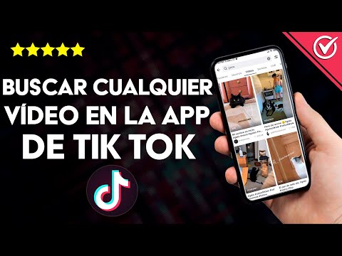 Cómo buscar cualquier video en la aplicación de TIKTOK - Métodos y filtros