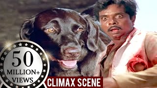 Moti Kills Sadashiv - Climax Scene | Teri Meherbaniyan Movie Scene | Popular Hindi Movie