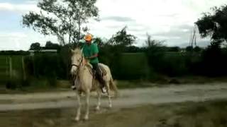 Video0242mp4