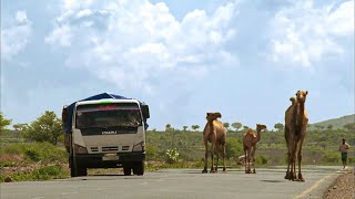 Extreme travel in Ethiopia and Romania | Trucks and Men