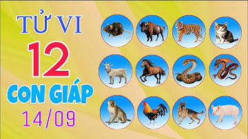 Chi Tiết Tử Vi Của 12 Con Giáp Ngày 14/09/2025 Về Vận Mệnh, Sự Nghiệp, Tài Lộc Và Con Số May Mắn