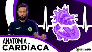 Anatomia do Coração para entender o ECG