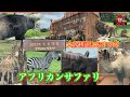 日本1自然動物園公園(大分)アフリカンサファリ観光におすすめAfarican Safari in Oita Japan
