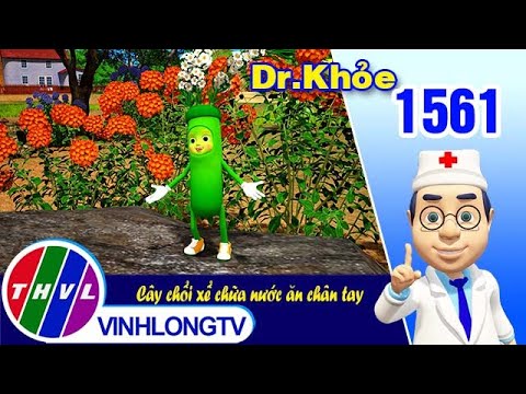 Video Dr. Khỏe - Tập 1561: Cây chổi xể chữa nước ăn chân tay... - youtube