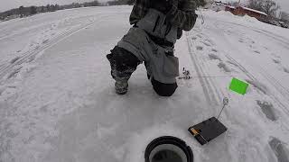 Hooksetter action @finickyfooler2951