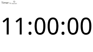 Celebrity 11 Hour Countup Timer Net Worth