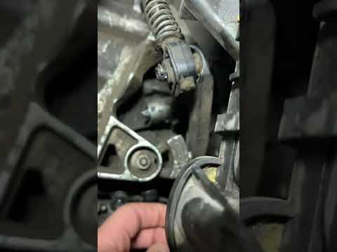 Selector cambio volkswagen