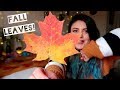 Can You Preserve Fall Leaves In Resin?