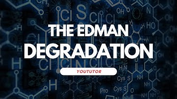 The Edman Degradation