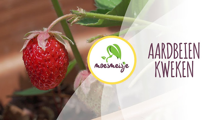 Aardbeien stekken | Aardbeien kweken