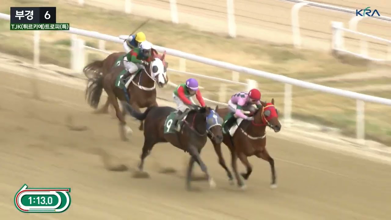 TJK(튀르키예)트로피(특).주인공은 최시대 기스.
