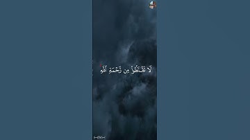 قُلۡ يَٰعِبَادِيَ ٱلَّذِينَ أَسۡرَفُواْ عَلَىٰٓ أَنفُسِهِمۡ - ياسر الدوسري [ سورة الزمر,٥٣ ]