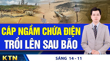 SÁNG 14/11: TP HCM lún 1m trong 35 năm; Mỹ lập lực lượng đặc nhiệm chống lừa đảo Đông Nam Á