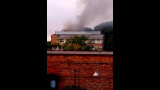 Incendio en el Instituto Miguel Lillo (Tucumán)
