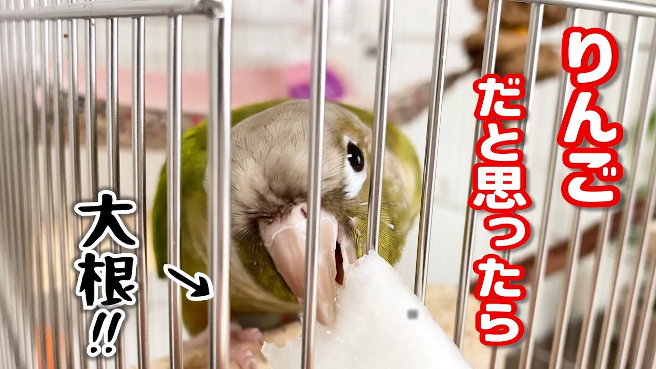 hq720.jpg?sqp=-