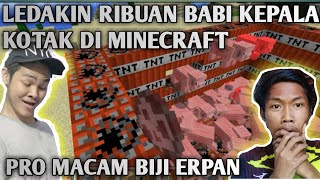 Minecraft Pro Macam Erpan1140 Santuy Pelihara Babi Kepala Kotak Anjay