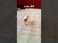 #phonk #music #youtube #birds #carrestorationproject #youtubeshorts #lifeisbutadream #ytshorts #trav