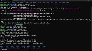 Ark Container Runtime