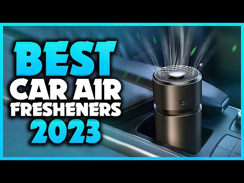 Top 5 Best Car Air Fresheners You can Buy Right Now [2023] 