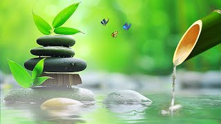 Relaxing Music • Calm Piano Music, Sleep Music, Water Sounds, Meditation Music, Bamboo, Spa BGM