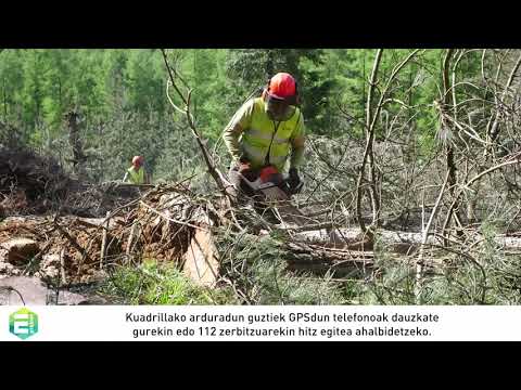 Buenas prácticas en el trabajo forestal - PLANIFICACIÓN DE TRABAJOS