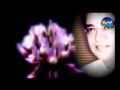 محرم فؤاد والنبى لنكيد العزال   