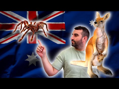 Βίντεο: Πότε είναι οι 4 εποχές στην Αυστραλία;