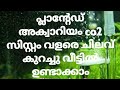 പ്ലാന്റേഡ് അക്വാറിയത്തിലേക്ക ചിലവ് കുറഞ്ഞ CO2 സിസ്റ്റം വീട്ടിൽ തന്നെ ഉണ്ടാക്കാം, homemade CO2 system