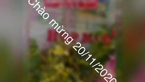 20/11/2020 - Trường Tiểu học Giồng Ông Tố, Quận 2