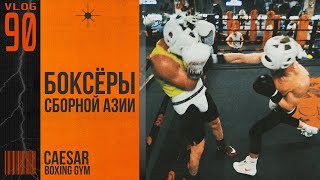 Влог: Спарринги со сборной Азии | Сергей Воробьев. Путь к Чемпионству