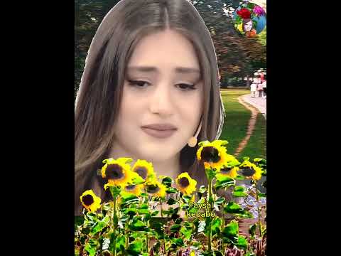 فيديو ترفيهي فراق الحبيب تصوير وتصميم Faysal Kebabo 