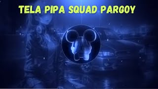 DJ TELA PIPA - Squad Pargoy