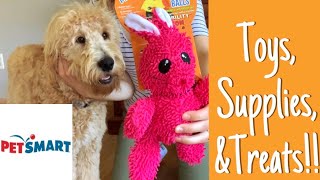 Petsmart Dog Haul!! Toys, Supplies, and Treats for my Goldendoodle Puppy