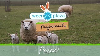 Weerbericht Pasen Beide Paasdagen Soms Regen