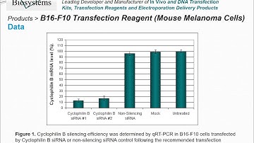 Altogen Biosystems B16-F10 Transfection Reagent
