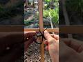 this knot is very helpful for gerdening #knot #diy #creative #lifehacks #fyp