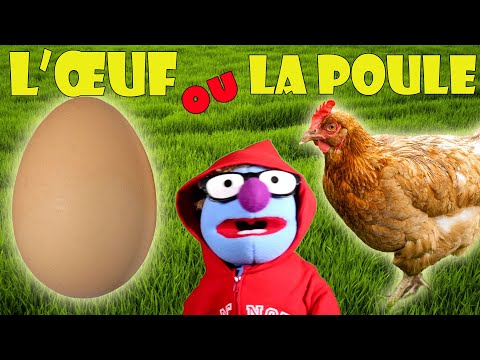 Vidéo: Qu'est-ce qu'un poulet lié aux œufs ?