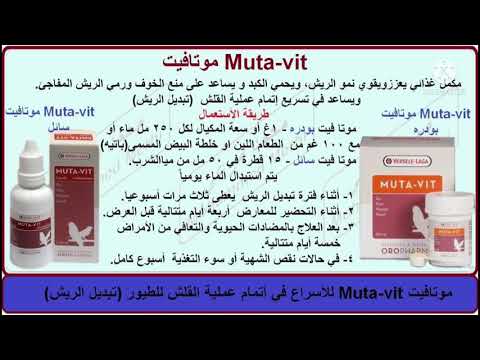 اهم علاجات الطيور من شركة فيرسل لاكا